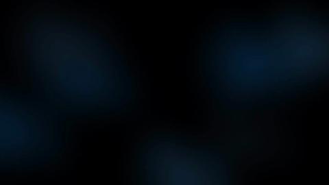 23355